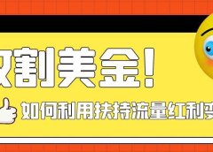 收割美金!简单制作shorts短视频,利用平台转型流量红利推广佣金任务