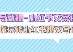 一写就爆-小红书文案课:带你玩转小红收爆文写作(45节课)