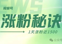 1天1500粉!我是如何用数字人视频号迅速吸粉的?