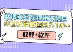 人人都能操作的蓝海多多视频带货项目 小白无脑搬运（教程+软件）