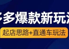 2023拼多多爆款·新玩法:起店思路+直通车玩法(3节精华课)