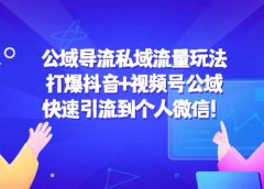 公域导流私域流量玩法:打爆抖音+视频号公域