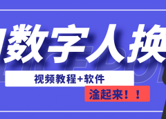 AI数字人换脸,可做直播(教程+软件)
