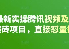 2022最新实操腾讯视频及快看点无脑搬砖项目,直接怼量撸收益