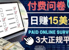 参与付费调查,利用自己的空闲时间完成问卷,适合新手的平台,日赚15美元