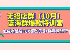 无招店群·蓝海群爆款特训营(10月新课) 低成本起店+小爆款打造+群爆款维护