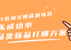 打造淘宝爆款训练营,90%成功率:全品类新品打爆方案