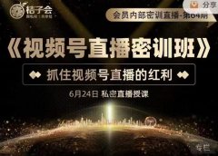 《视频号直播密训班》,抓住视频号直播的红利 价值12800