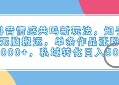 抖音情感共鸣新玩法,知乎无脑搬运,单条作品涨粉5000+,私域转化日入500