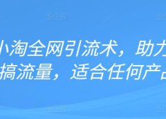 2022年小淘全网引流术,助力零成本搞流量,适合任何产品