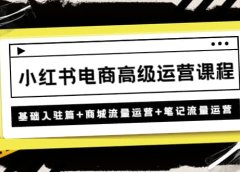 小红书电商高级运营课程:基础入驻篇+商城流量运营+笔记流量运营
