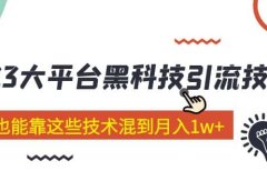 价值4899的2023大平台黑科技引流技术 29节课