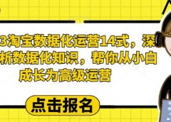 2023淘宝数据化-运营 14式,深度解析数据化知识,帮你从小白成长为高级运营