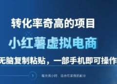 一单49.9,转化率奇高的项目,冷门暴利的小红书虚拟电商