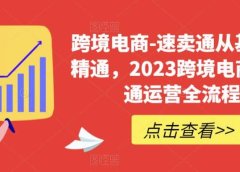 速卖通从0基础到精通,2023跨境电商-速卖通运营实战全流程