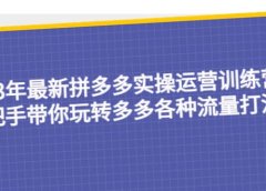 23年最新拼多多实操运营训练营:手把手带你玩转多多各种流量打法!