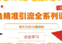 闲鱼精准引流全系列课程,每天引流100精准粉【视频课程】