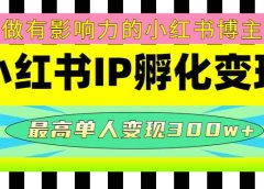 某收费培训-小红书IP孵化变现：做有影响力的小红书博主