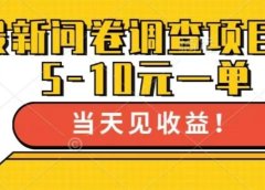 最新问卷调查项目,共12个平台,单日零撸100+