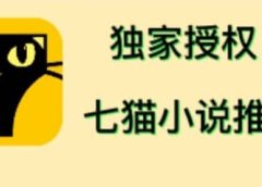 七猫小说推文(全网独家项目),个人工作室可批量做【详细教程+技术指导】