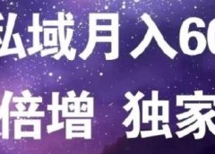 原力网赚精准私域月入60000+,流量倍增独家玩法