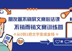 朋友圈不刷屏文案心法课:不销而销文案训练营,从0到1把文字变成金钱