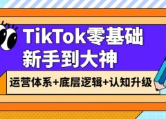 TikTok零基础新手到大神：运营体系+底层逻辑+认知升级（9节系列课）