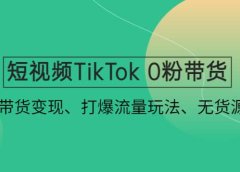 短视频TikTok 0粉带货:快速带货变现、打爆流量玩法、无货源玩法