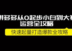 拼多多从0起步小白到大神运营全攻略