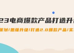 2023电商爆款产品打造升级课:爆款策划/思维升级/打造2.0爆款产品/【推荐】