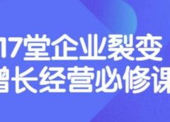 《盈利增长17堂必修课》企业裂变增长的经营智慧,带你了解增长的本质