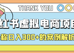 最新小红书项目-学科虚拟资料搞钱玩法，案例解析