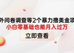 国外问卷调查等2个暴力撸美元项目,小白零基础也能月入过万