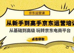 从新手到高手京东运营培训:从基础到高级 玩转京东电商平台(无水印)