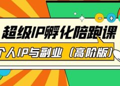 超级IP孵化陪跑课:个人IP与副业(高阶版)41节课