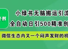 小绿书小白无脑搬运引流,全自动日引500精准创业粉,微信生态内又一个闷声发财的机会