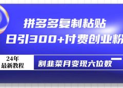 拼多多复制粘贴日引300+付费创业粉，割韭菜月变现六位数最新教程！