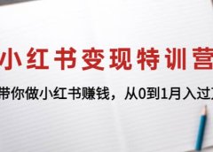小红书变现特训营:带你做小红书项目
