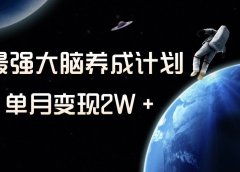 冷门虚拟项目,最强大脑养成计划,一个月变现2W+