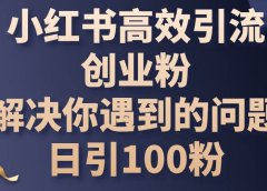 小红书高效引流创业粉，解决你遇到的问题，日引100粉