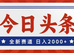 今日头条,全新赛道,小白易上手,日入2000+