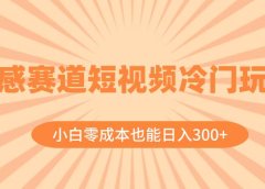情感赛道短视频冷门玩法，小白零成本也能日入300+（教程+素材）