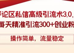 评论区私信高级引流术3.0,每天精准引流300+创业粉,操作简单,流量稳定