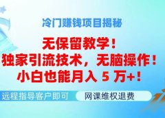 冷门赚钱项目无保留教学!独家引流技术,无脑操作!小白也能月入5万+!