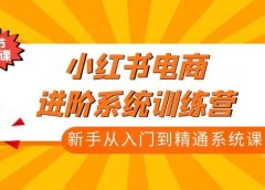 小红书电商进阶系统训练营:新手从入门到精通系统课(21节视频课)