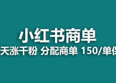 【蓝海项目】2023最强蓝海项目,小红书商单项目,没有之一!