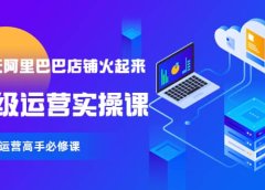 【90天阿里巴巴店铺火起来】高级运营实操课,1688运营高手必修课