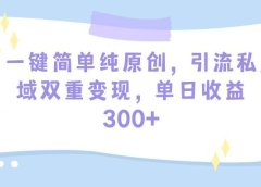 一键简单纯原创，引流私域双重变现，单日收益300+（教程+素材）