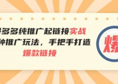 拼多多纯推广起链接实战:多种推广玩法,手把手打造爆款链接