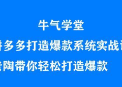 牛气学堂拼多多打造爆款系统实战课,老陶带你轻松打造爆款